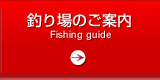 釣り場の紹介