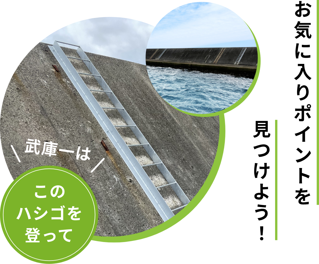 お気に入りポイントを見つけよう！武庫一はこのハシゴを登って